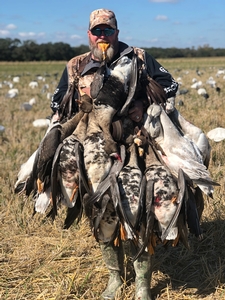 Goose Hunts