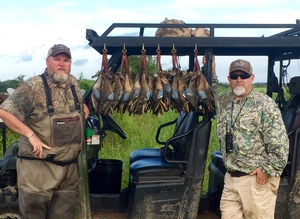 Duck Hunts