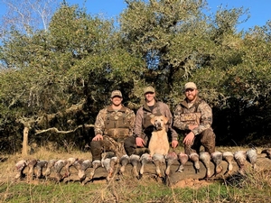 Duck Hunts