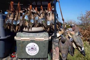 Duck Hunts