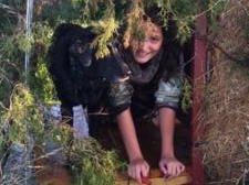 Hunting Photos