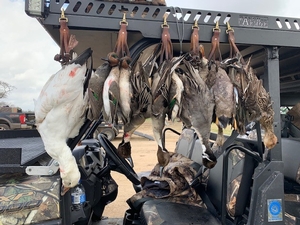 Duck Hunts