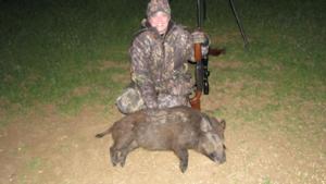 Hog Hunting